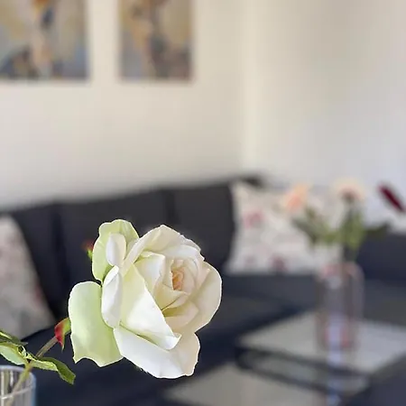 City On The Rhine, Apartment