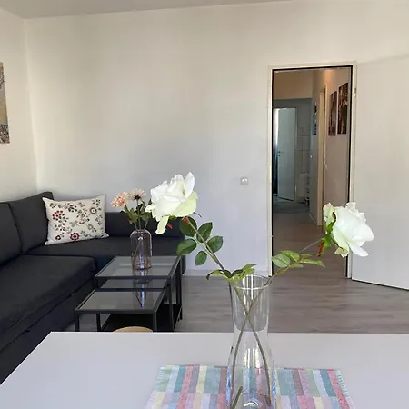 Apartment City On The Rhine, Bonn