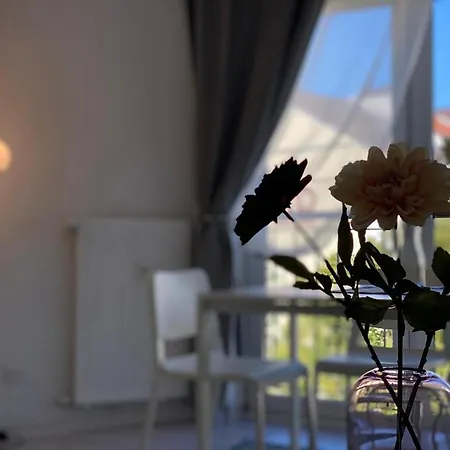 Apartment City On The Rhine, *